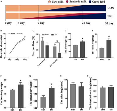 Early-Life Nutrition Interventions Improved Growth Performance and Intestinal Health via the Gut Microbiota in Piglets